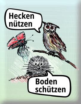 Hecken nützen - Boden schützen